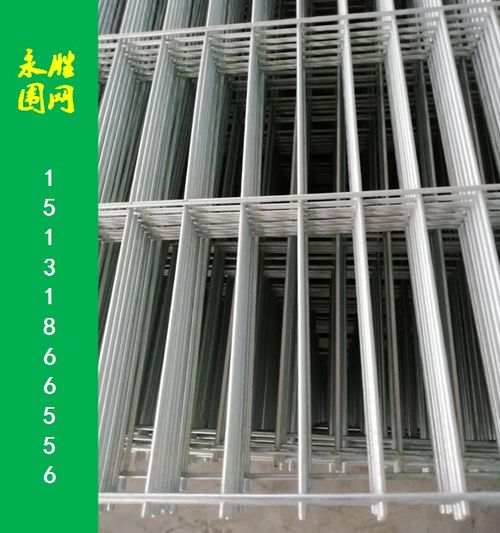 信鸽笼赛鸽棚围网网片 河北永胜丝网制品厂