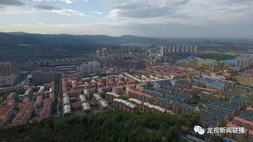 双鸭山 民生无小事 枝叶总关情