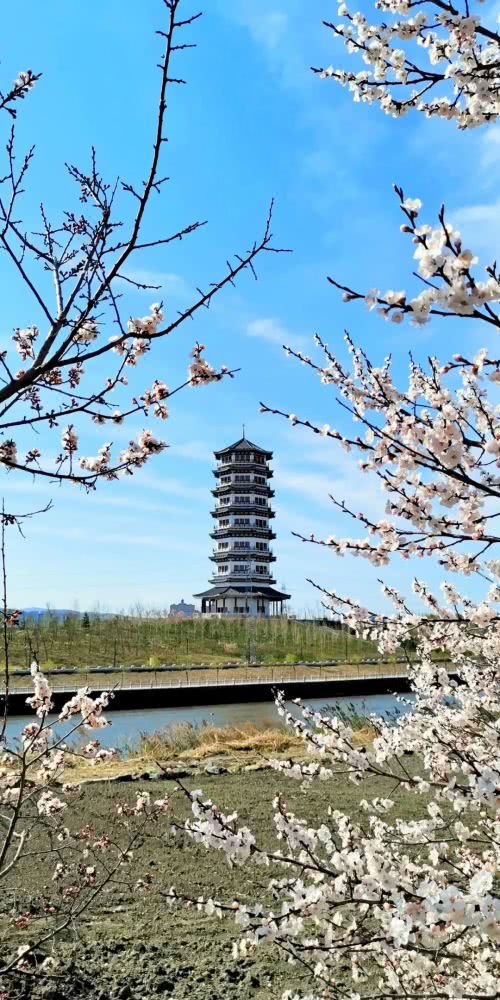 双鸭山人点进来 宅家 看双鸭山繁花美景
