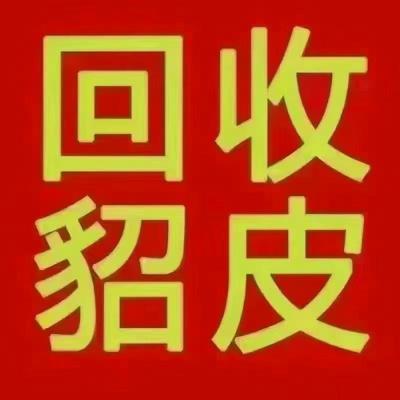 双鸭山福利屯