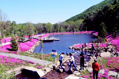 黑龙江省文旅厅推出春季“赏花地图”