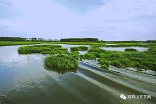 央视 魅力中国城 双鸭山对阵韩城