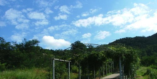 双鸭山旅游景点介绍,双鸭山好玩地方推荐,双鸭山著名旅游景点
